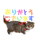 ひこ＆くにゃ(敬語)（個別スタンプ：7）