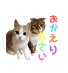 ひこ＆くにゃ(敬語)（個別スタンプ：9）