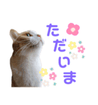 ひこ＆くにゃ(敬語)（個別スタンプ：10）