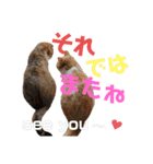 ひこ＆くにゃ(敬語)（個別スタンプ：12）