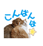 ひこ＆くにゃ(敬語)（個別スタンプ：13）
