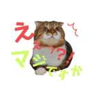 ひこ＆くにゃ(敬語)（個別スタンプ：18）