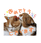 ひこ＆くにゃ(敬語)（個別スタンプ：20）