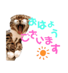ひこ＆くにゃ(敬語)（個別スタンプ：22）