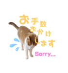 ひこ＆くにゃ(敬語)（個別スタンプ：24）