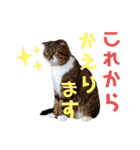 ひこ＆くにゃ(敬語)（個別スタンプ：27）