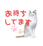 ひこ＆くにゃ(敬語)（個別スタンプ：28）