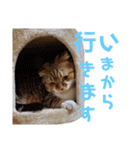 ひこ＆くにゃ(敬語)（個別スタンプ：31）