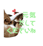 ひこ＆くにゃ(敬語)（個別スタンプ：32）