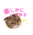 ひこ＆くにゃ(敬語)（個別スタンプ：34）