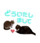 ひこ＆くにゃ(敬語)（個別スタンプ：35）
