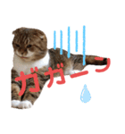 ひこ＆くにゃ(敬語)（個別スタンプ：38）