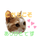 ひこ＆くにゃ(敬語)（個別スタンプ：39）