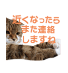 ひこ＆くにゃ(敬語)（個別スタンプ：40）