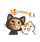 6ニャンHOUSE猫スタンプ（個別スタンプ：2）