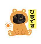 6ニャンHOUSE猫スタンプ（個別スタンプ：3）