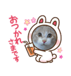6ニャンHOUSE猫スタンプ（個別スタンプ：6）