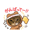 6ニャンHOUSE猫スタンプ（個別スタンプ：7）