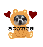 6ニャンHOUSE猫スタンプ（個別スタンプ：17）
