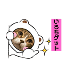 6ニャンHOUSE猫スタンプ（個別スタンプ：19）