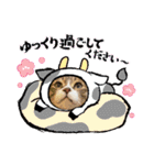 6ニャンHOUSE猫スタンプ（個別スタンプ：24）