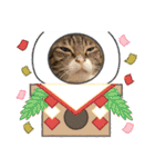 6ニャンHOUSE猫スタンプ（個別スタンプ：26）