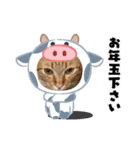 6ニャンHOUSE猫スタンプ（個別スタンプ：28）