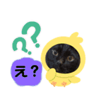 6ニャンHOUSE猫スタンプ（個別スタンプ：29）