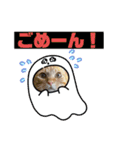 6ニャンHOUSE猫スタンプ（個別スタンプ：32）