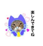 6ニャンHOUSE猫スタンプ（個別スタンプ：37）