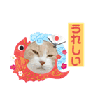 6ニャンHOUSE猫スタンプ（個別スタンプ：38）