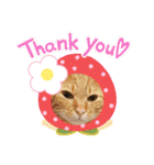 6ニャンHOUSE猫スタンプ（個別スタンプ：39）