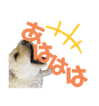 ららスタンプ2020（個別スタンプ：1）