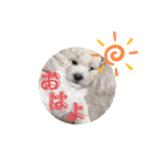 ららスタンプ2020（個別スタンプ：5）
