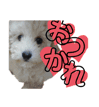 ららスタンプ2020（個別スタンプ：8）