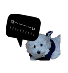 ららスタンプ2020（個別スタンプ：10）