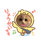 可愛い猫のさくらちゃん（個別スタンプ：1）