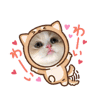 可愛い猫のさくらちゃん（個別スタンプ：2）