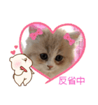 可愛い猫のさくらちゃん（個別スタンプ：3）