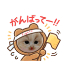 可愛い猫のさくらちゃん（個別スタンプ：5）