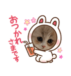 可愛い猫のさくらちゃん（個別スタンプ：7）