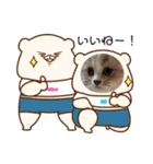 可愛い猫のさくらちゃん（個別スタンプ：8）