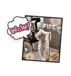 可愛い猫のさくらちゃん（個別スタンプ：9）
