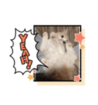 可愛い猫のさくらちゃん（個別スタンプ：11）