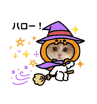 可愛い猫のさくらちゃん（個別スタンプ：12）