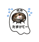 可愛い猫のさくらちゃん（個別スタンプ：14）