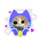 可愛い猫のさくらちゃん（個別スタンプ：16）