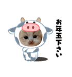 可愛い猫のさくらちゃん（個別スタンプ：17）