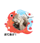 可愛い猫のさくらちゃん（個別スタンプ：18）