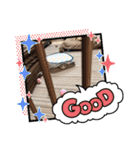 可愛い猫のさくらちゃん（個別スタンプ：24）